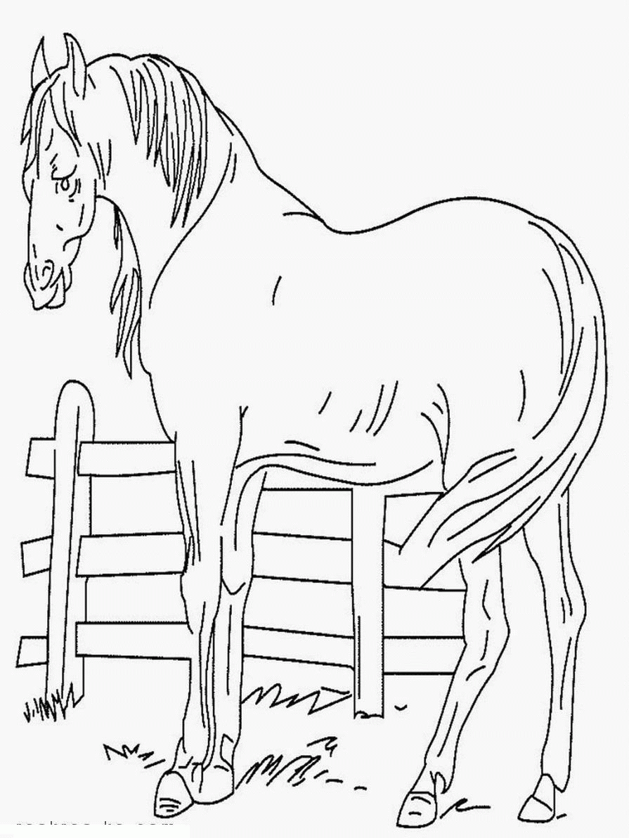 Название: Раскраска Раскраски лошадь и забор. Категория: . Теги: .