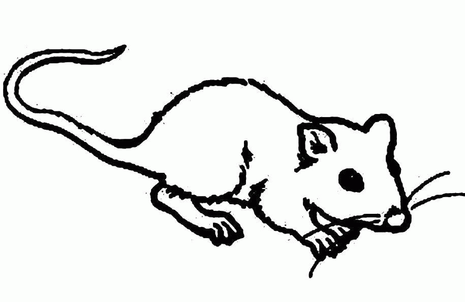 Название: Раскраска Маленькая мышка.. Категория: . Теги: .