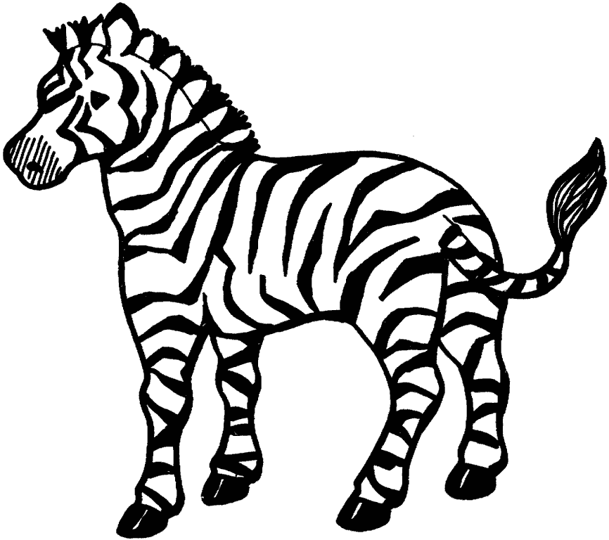Название: Раскраска дикая зебра. Категория: . Теги: .
