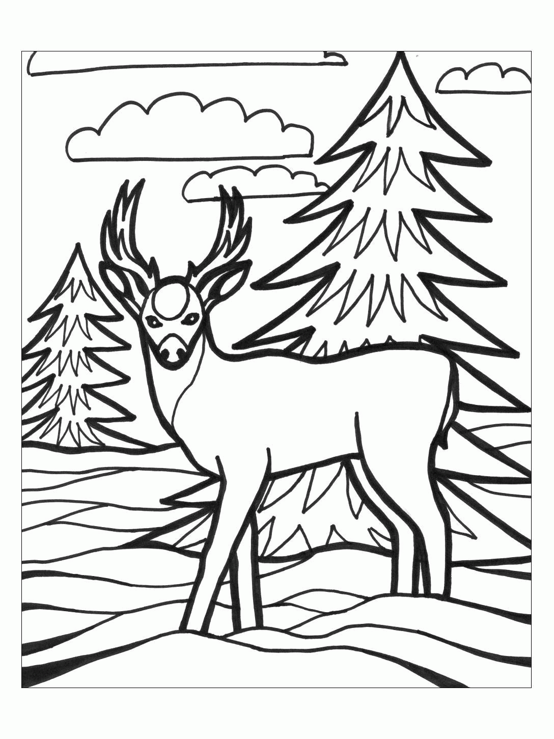 Название: Раскраска Раскраски лесные животные раскраска  животные, природа, дикие животные, лесные животные, раскраска олень, рога, ели, лес, снег.... Категория: . Теги: .