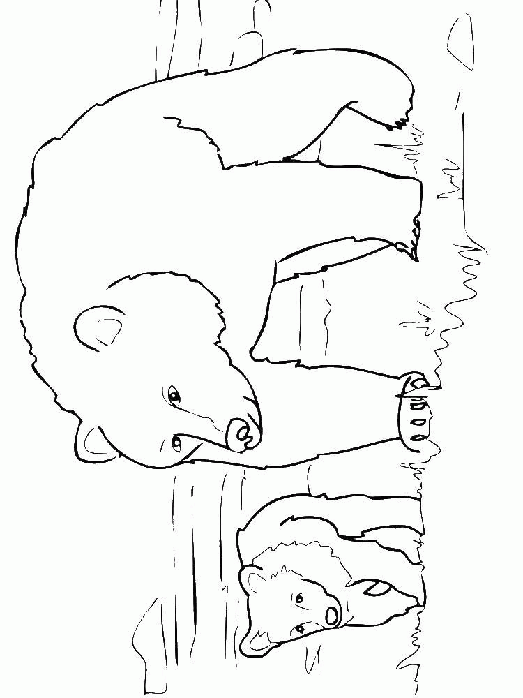 Название: Раскраска Название: Раскраска Медведица с малышом. Категория: Животные. Теги: Животные, медведь.. Категория: . Теги: .