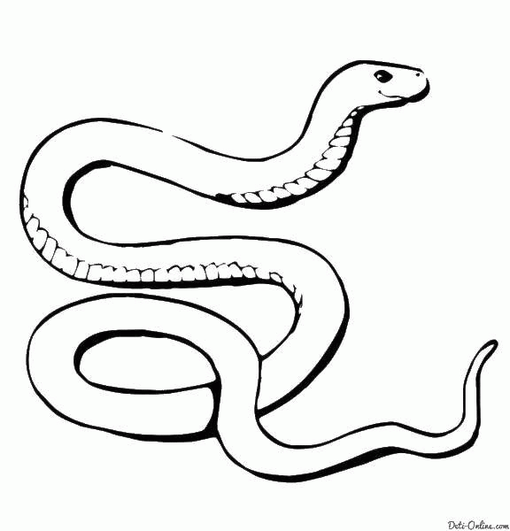 Название: Раскраска Название: Раскраска Добрая змея. Категория: змея. Теги: Рептилия, змея.. Категория: . Теги: .