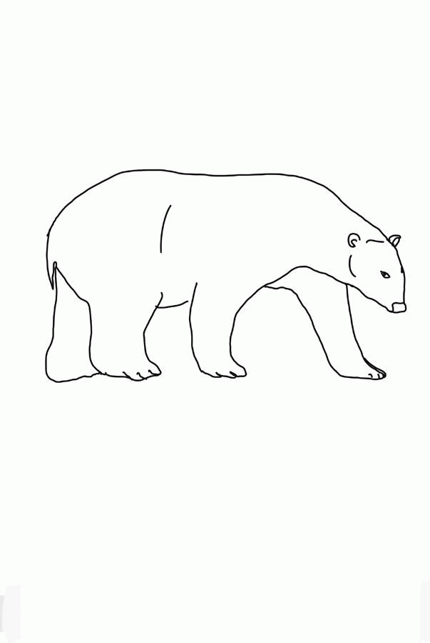 Название: Раскраска Белый медведь. Категория: . Теги: .
