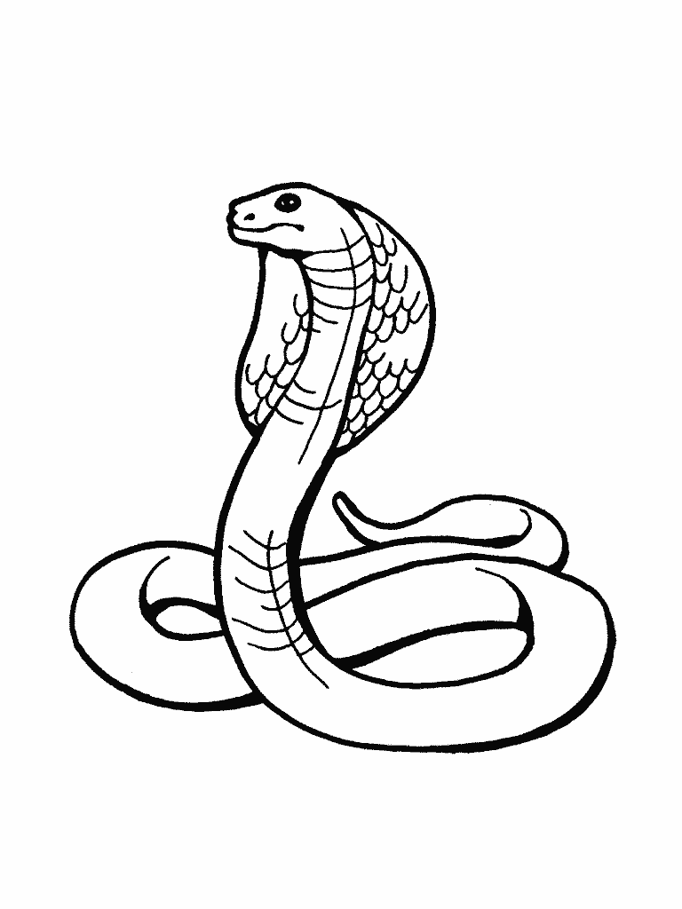 Название: Раскраска раскраски для детей змея. Категория: . Теги: .