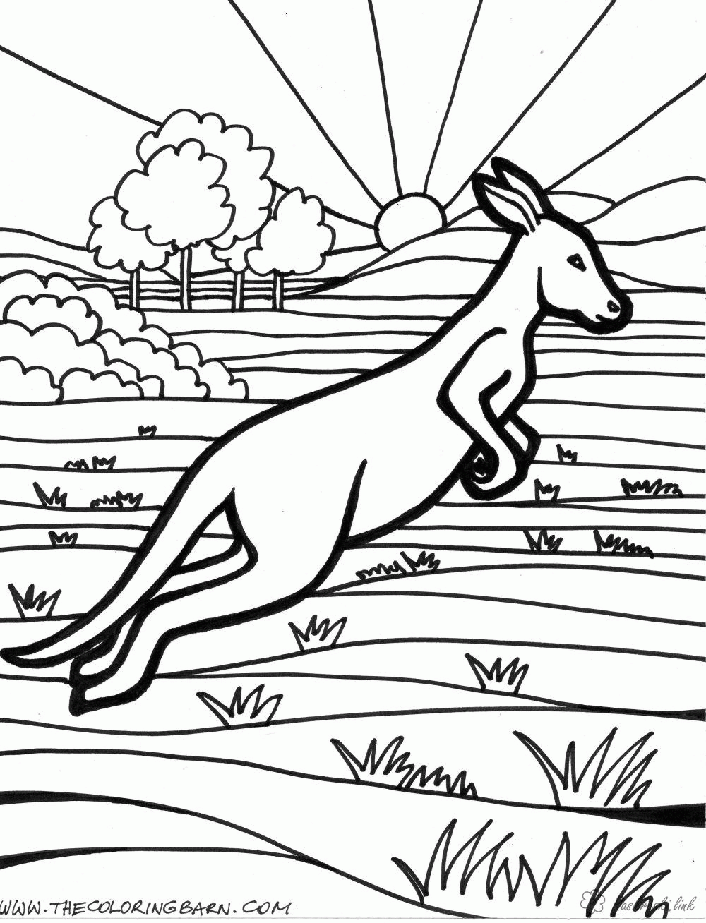 Название: Раскраска Раскраски австралия раскраски для детей, животные, Австралия, кенгуру. Категория: . Теги: .