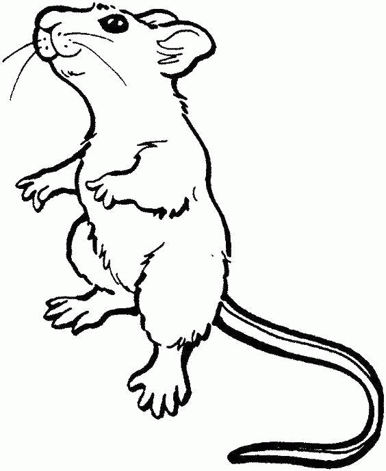 Название: Раскраска Мышка с хвостиком. Категория: . Теги: .