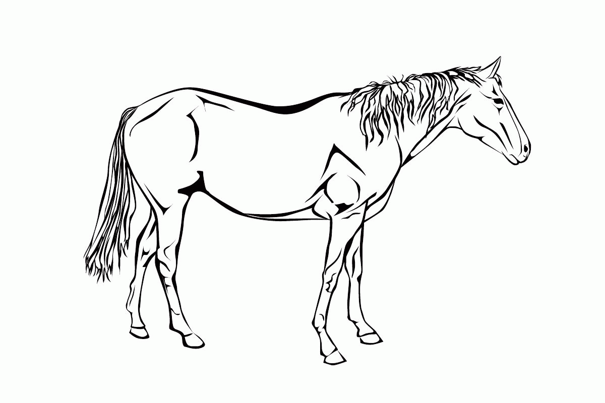 Название: Раскраска Раскраски лошадь. Категория: . Теги: .