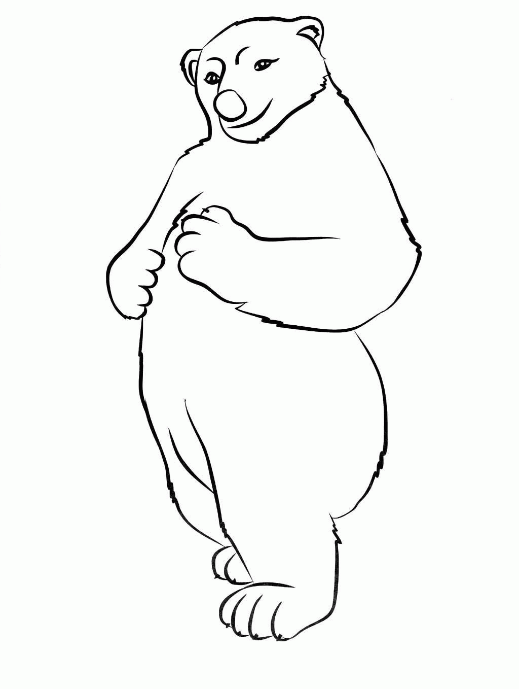 Название: Раскраска Северный медведь. Категория: . Теги: .