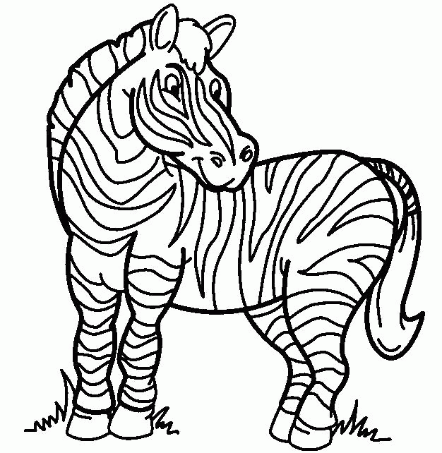 Название: Раскраска Раскраска  Зебра , зебра, животные, природа. Скачать зебра.  Распечатать Дикие животные. Категория: . Теги: .