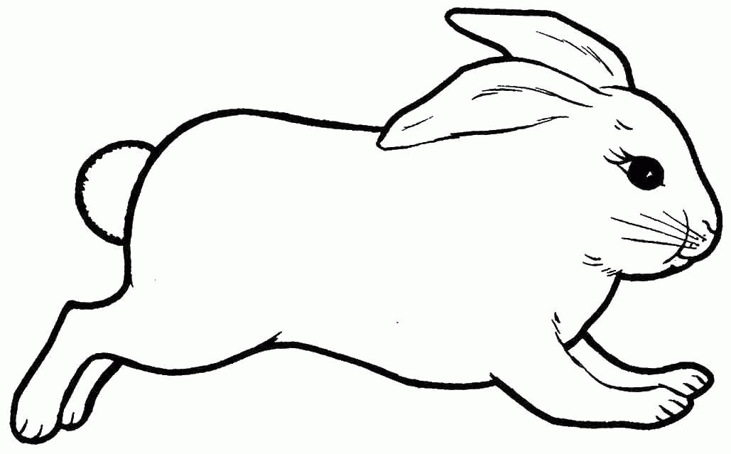 Название: Раскраска Название: Раскраска Крольчонок. Категория: кролик. Теги: кролик крольчонок, зверьки.. Категория: . Теги: .