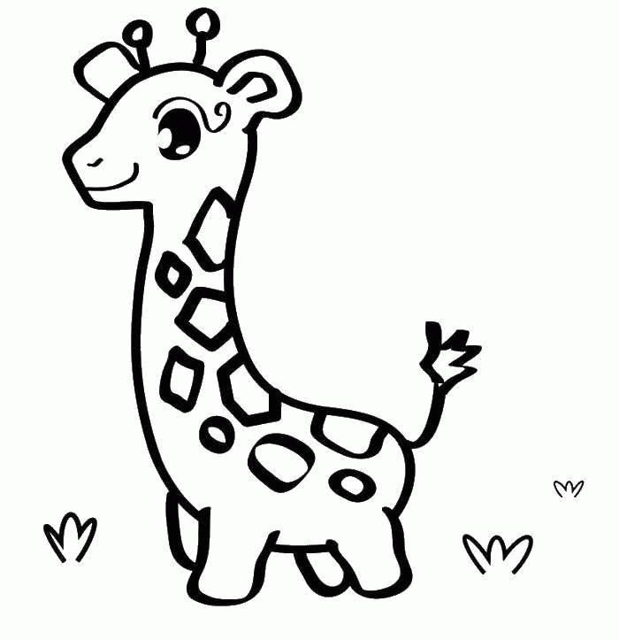 Название: Раскраска Маленький жирафик. Категория: . Теги: .