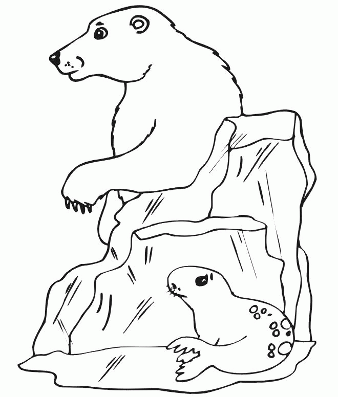 Название: Раскраска Полярные медведь и тюлень. Категория: . Теги: .
