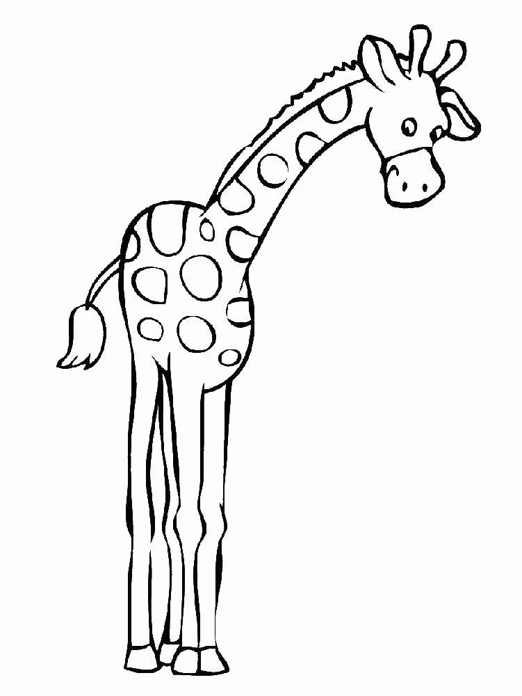 Название: Раскраска Жираф с длинными ногами. Категория: . Теги: .