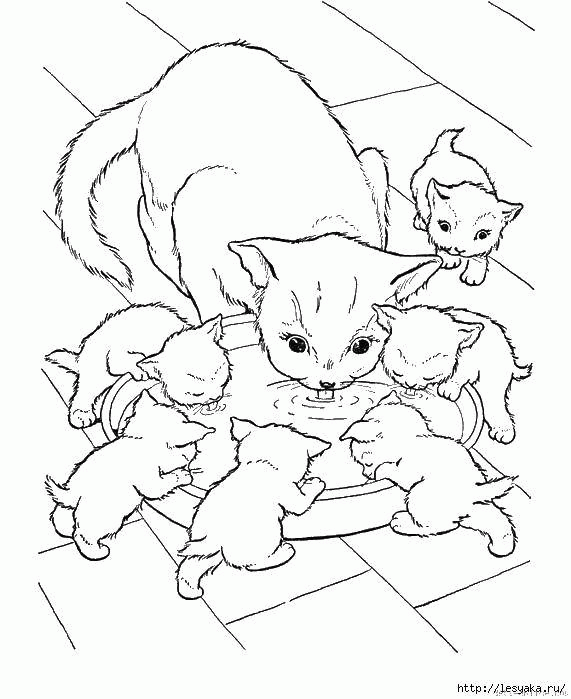 Название: Раскраска Кошка и котята с миской. Категория: . Теги: .