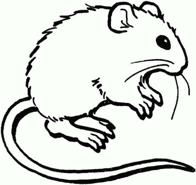 Название: Раскраска Раскраска мышка. Скачать мышь.  Распечатать Дикие животные. Категория: . Теги: .