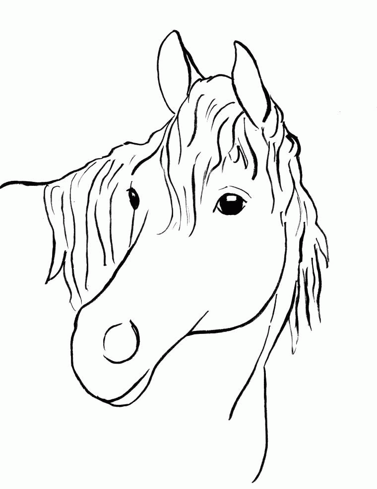 Название: Раскраска Мудрая лошадь. Категория: . Теги: .