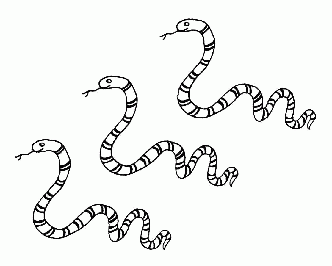 Название: Раскраска Раскраска Три змеи. Скачать Змея.  Распечатать Дикие животные. Категория: . Теги: .