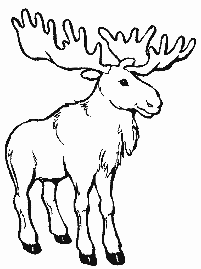 Название: Раскраска Раскраски олень Детская раскраска лесные животные, олень. Категория: . Теги: .
