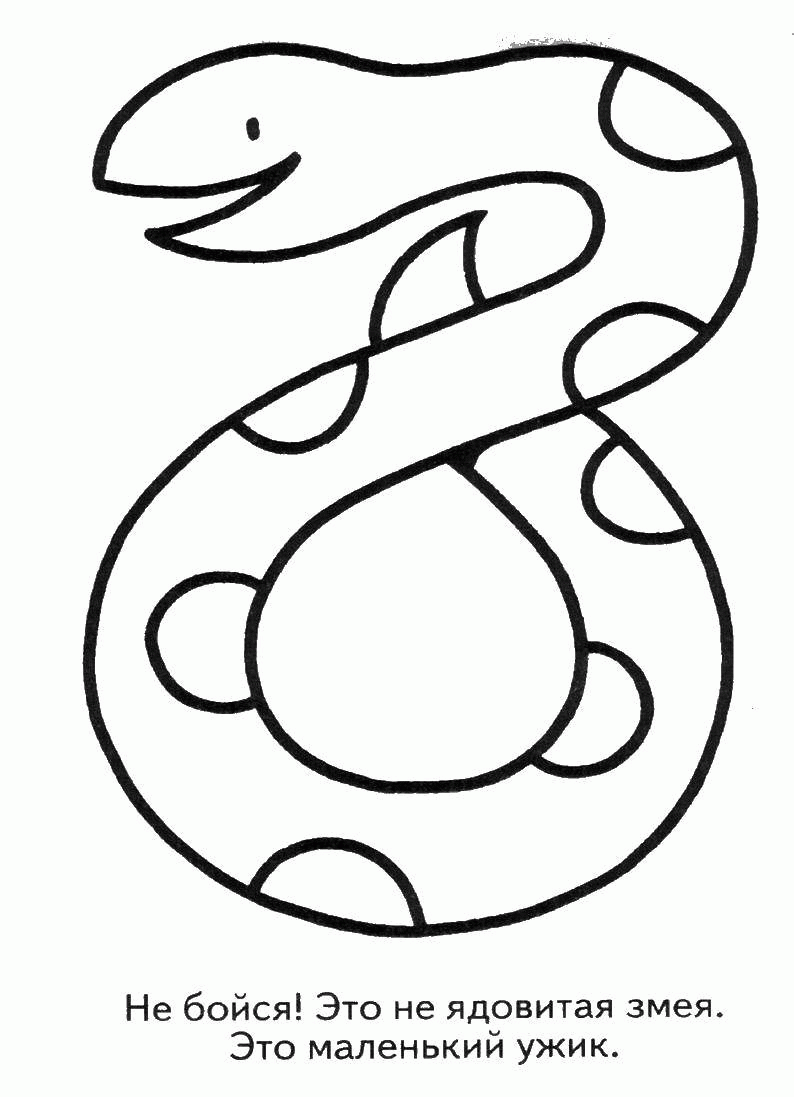 Название: Раскраска Добрая змея - ужик. Категория: . Теги: .