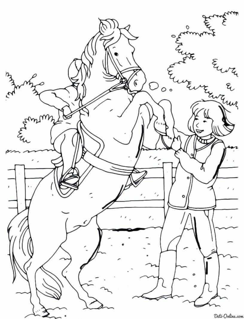 Название: Раскраска Раскраски поднял Мальчик управляя лошадью поднял ее на дыбы встав на задние копыта. Категория: . Теги: .