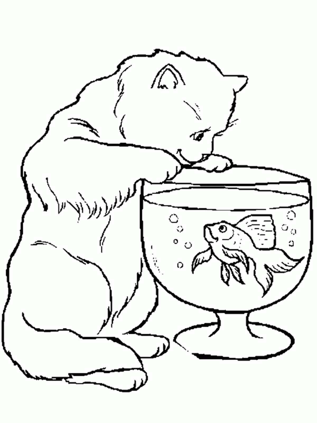 Название: Раскраска Кошка с рыбкой в аквариуме. Категория: . Теги: .