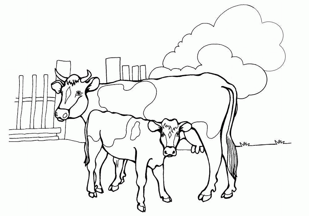 Название: Раскраска Корова с теленком на ферме. Категория: . Теги: .