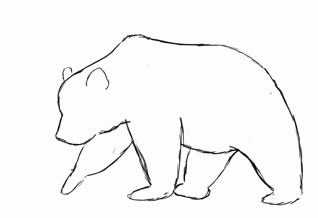 Название: Раскраска Раскраска Контур медведя Скачать ,медведь, животные, контур,.  Распечатать . Категория: . Теги: .
