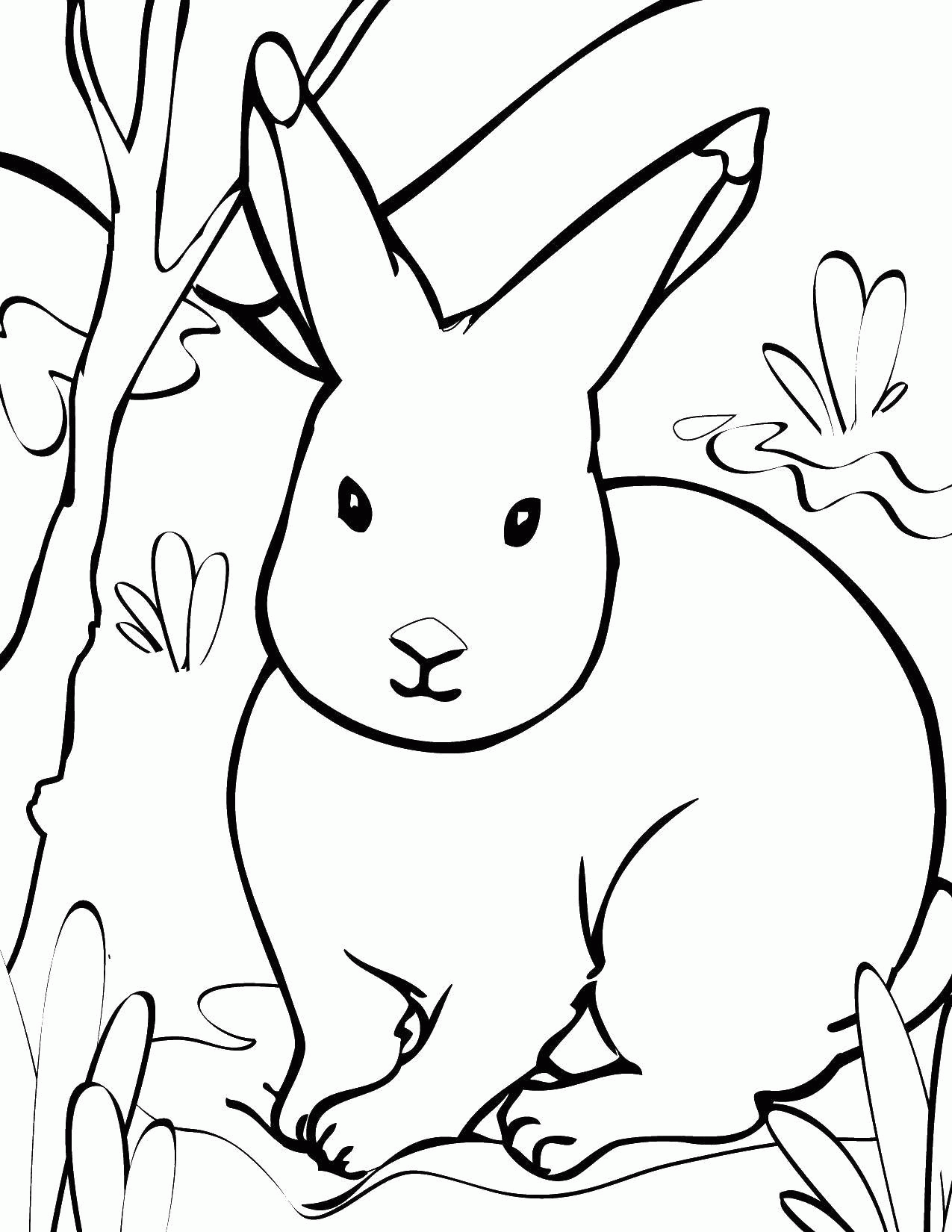 Название: Раскраска Кролик в лесу. Категория: . Теги: .