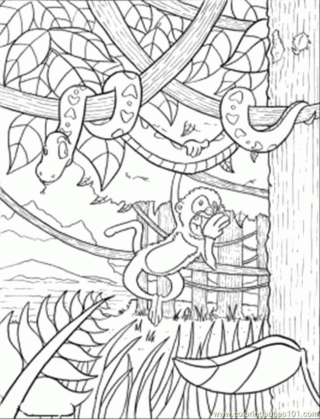 Название: Раскраска Обезьянка и змея на дереве. Категория: . Теги: .