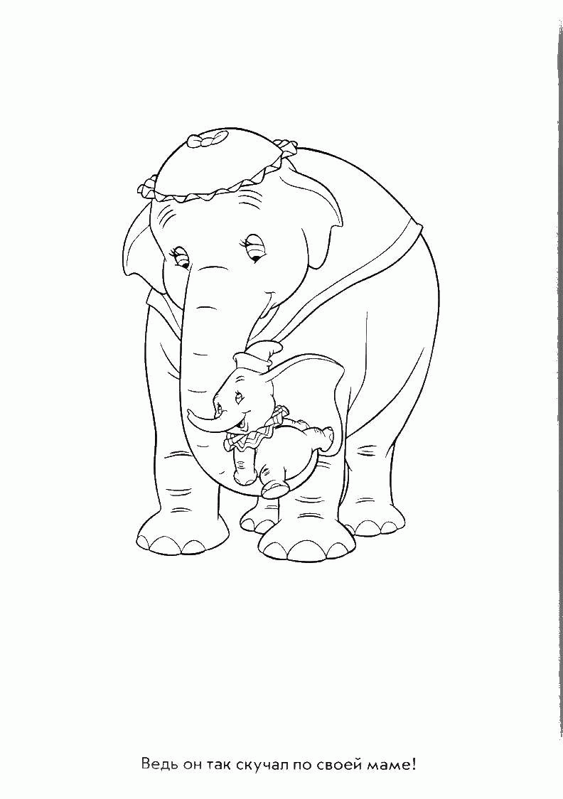 Название: Раскраска индийский слон со слоненком. Категория: . Теги: .