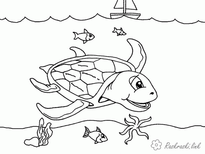 Название: Раскраска Раскраски рыба природа подводный мир море черепаха рыба. Категория: . Теги: .