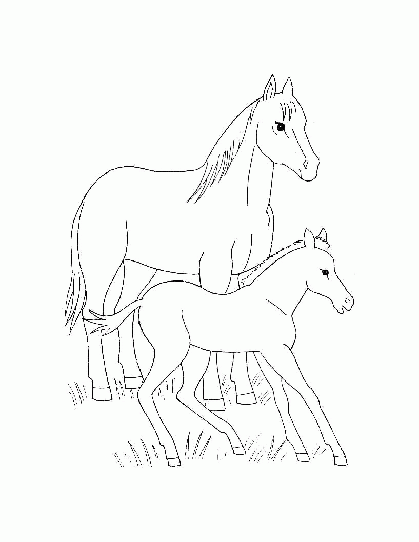 Название: Раскраска Раскраска  для самых маленьких  Домашние животные. Лошадь и жеребенок. Скачать Лошадь.  Распечатать Домашние животные. Категория: . Теги: .