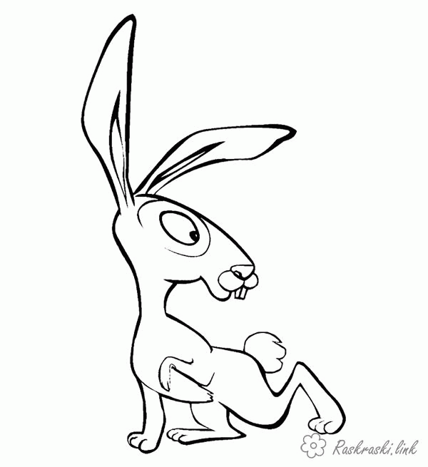 Название: Раскраска раскраска заяц с большими ушами. Категория: . Теги: .