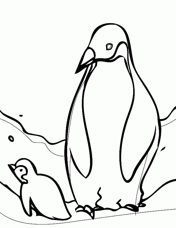 Название: Раскраска Пингвины арктики. Категория: . Теги: .