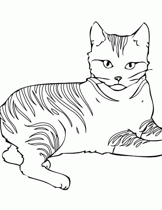 Название: Раскраска Полосатая кошка. Категория: . Теги: .