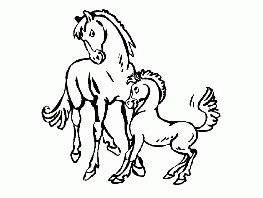 Название: Раскраска Раскраски лошадь и ее жеребенок. Категория: . Теги: .