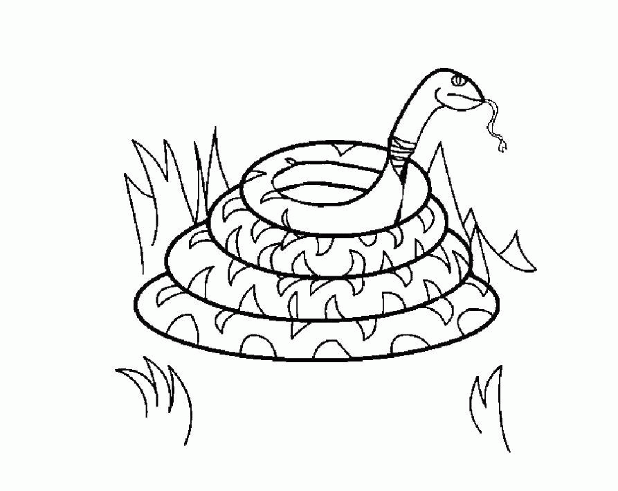 Название: Раскраска Название: Раскраска Змея. Категория: змея. Теги: змея.. Категория: . Теги: .