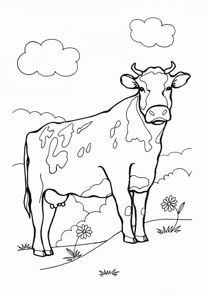 Название: Раскраска Корова на лугу с цветочками. Категория: . Теги: .