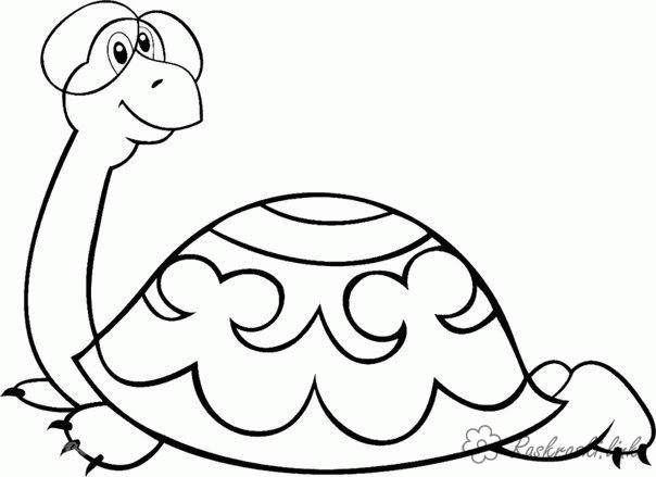 Название: Раскраска Раскраски черепаха большая черепаха, раскраски, советские мультфильмы. Категория: . Теги: .