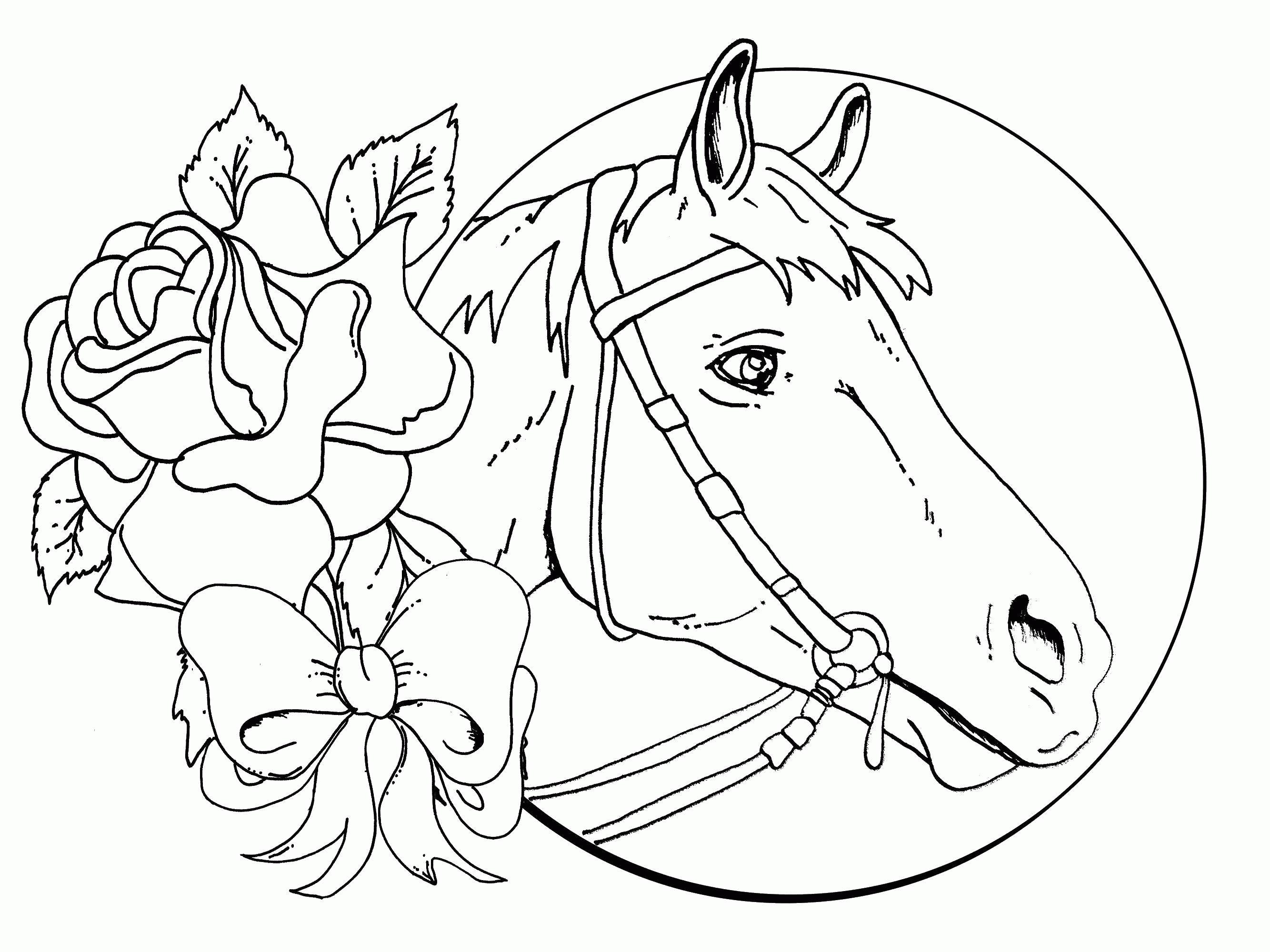 Название: Раскраска Название: Раскраска Лошадь и розы. Категория: лошади. Теги: лошади, розы.. Категория: . Теги: .