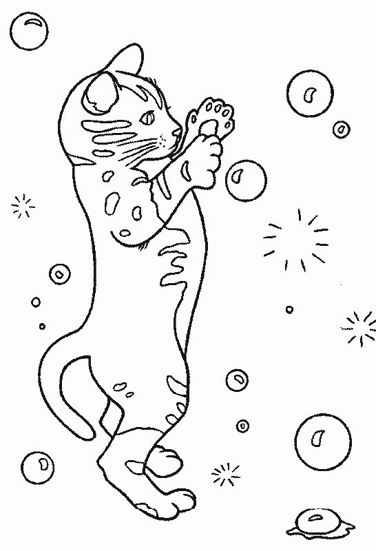 Название: Раскраска Распечатать раскраску кошка и мыльные пузыри. Категория: . Теги: .