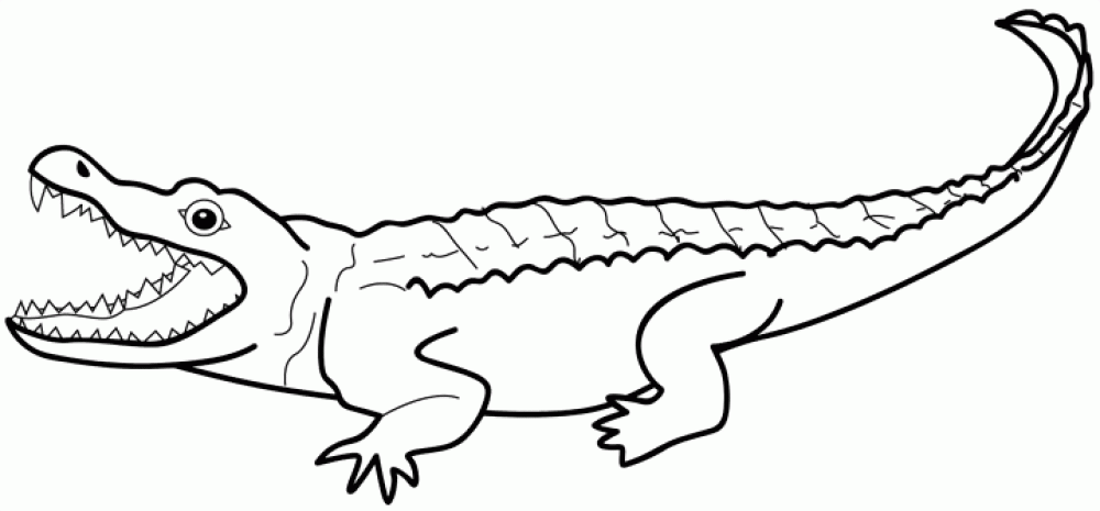 Название: Раскраска большой крокодил. Категория: . Теги: .