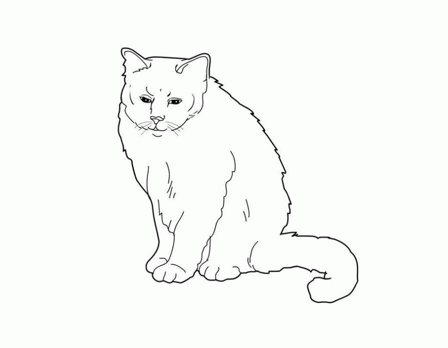 Название: Раскраска Название: Раскраска Рисунок серьезного кота. Категория: домашние животные. Теги: кошка, кот.. Категория: . Теги: .