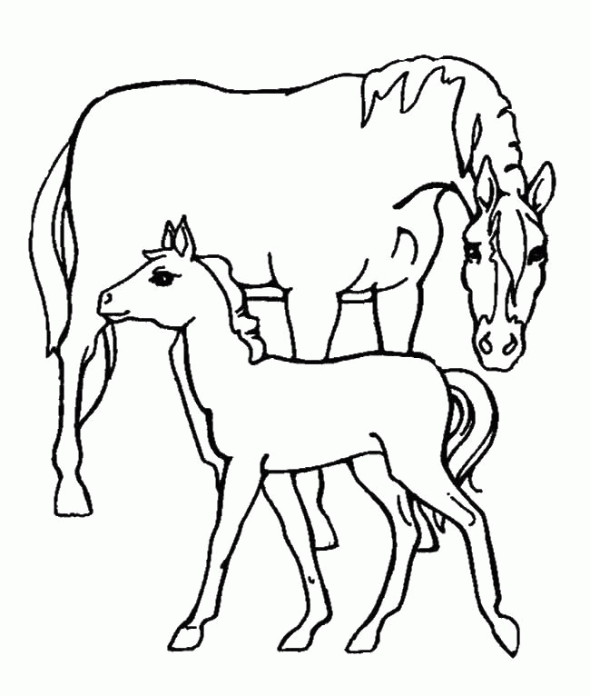 Название: Раскраска Лошадь и жеребенок. Категория: . Теги: .