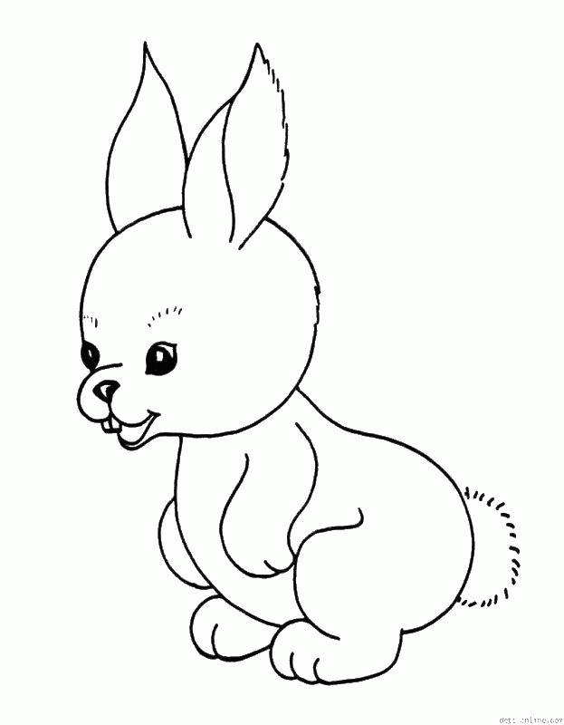Название: Раскраска Кролик с хвостиком. Категория: . Теги: .