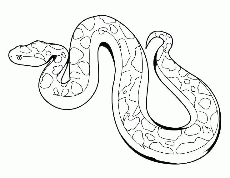 Название: Раскраска Название: Раскраска Ядовитая змея.. Категория: Змея. Теги: Рептилия, змея.. Категория: . Теги: .