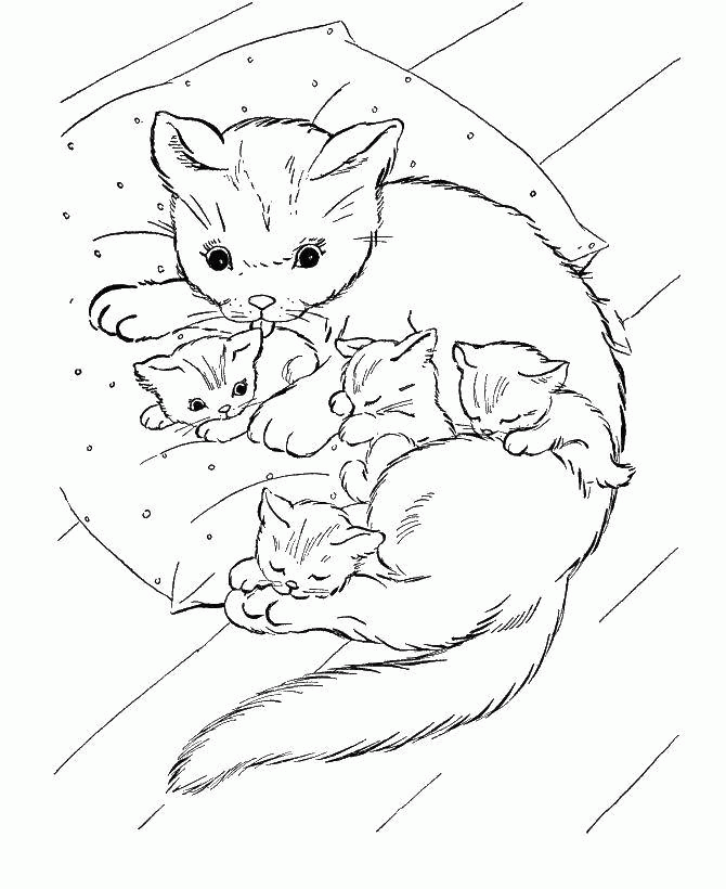 Название: Раскраска Кошка мама с спящими котятами. Категория: . Теги: .