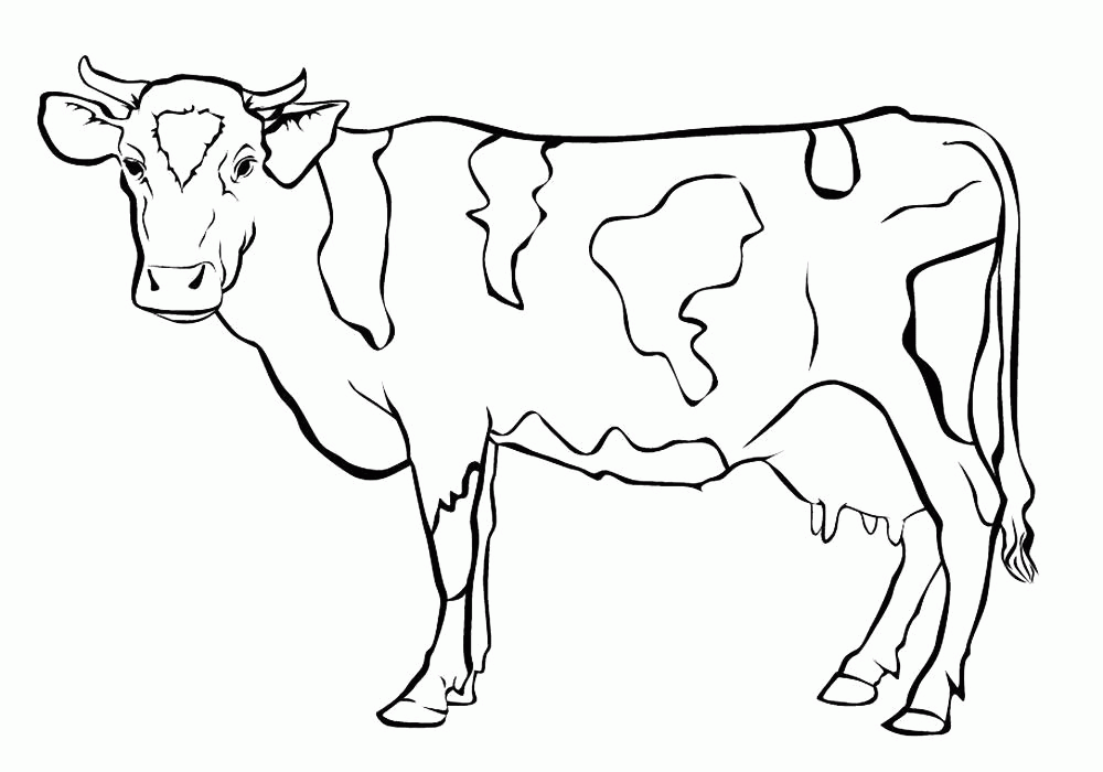 Название: Раскраска Раскраска Корова картинки для детей . Скачать Корова.  Распечатать Домашние животные. Категория: . Теги: .