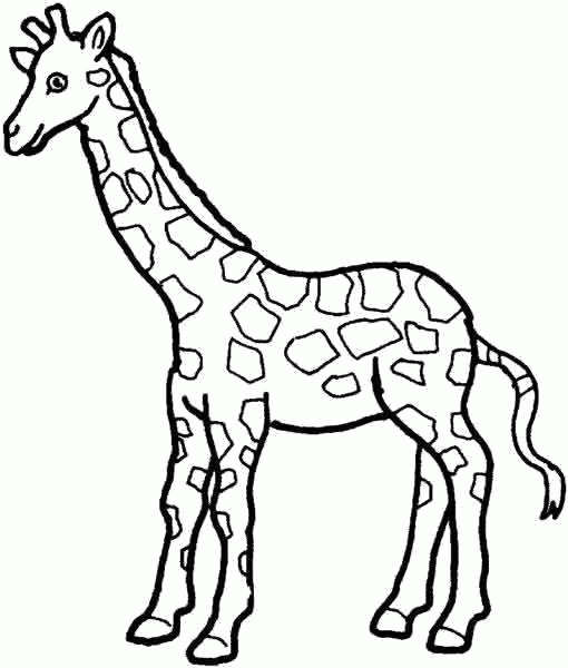 Название: Раскраска Раскраска Жирафка. Скачать жираф.  Распечатать Дикие животные. Категория: . Теги: .