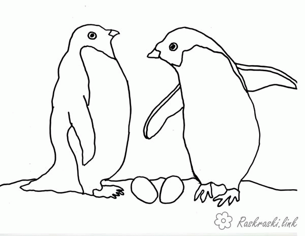 Название: Раскраска Раскраски пингвин раскраски для детей, животные, Антарктида, пингвин. Категория: . Теги: .